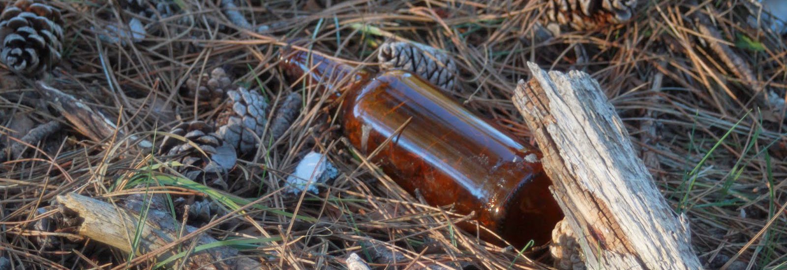 botella en el campo