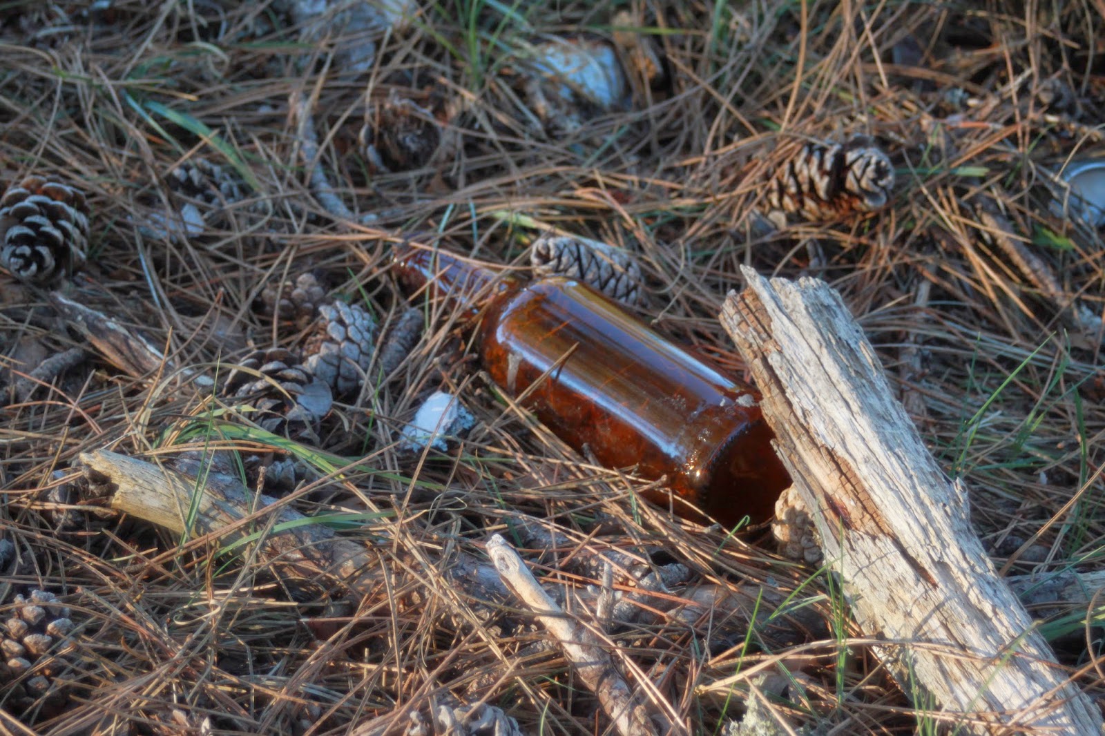 botella en el campo