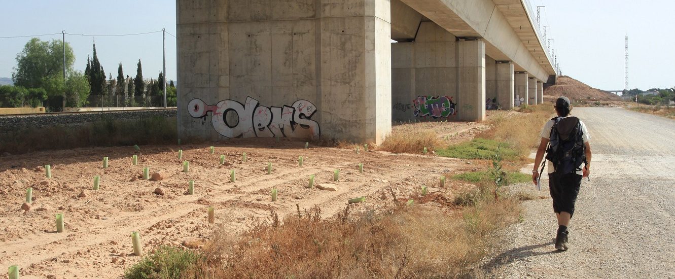 senderista camina junto a puente del ferrocarril