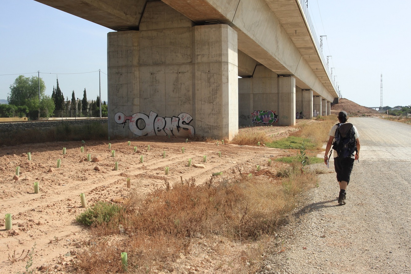 senderista camina junto a puente del ferrocarril