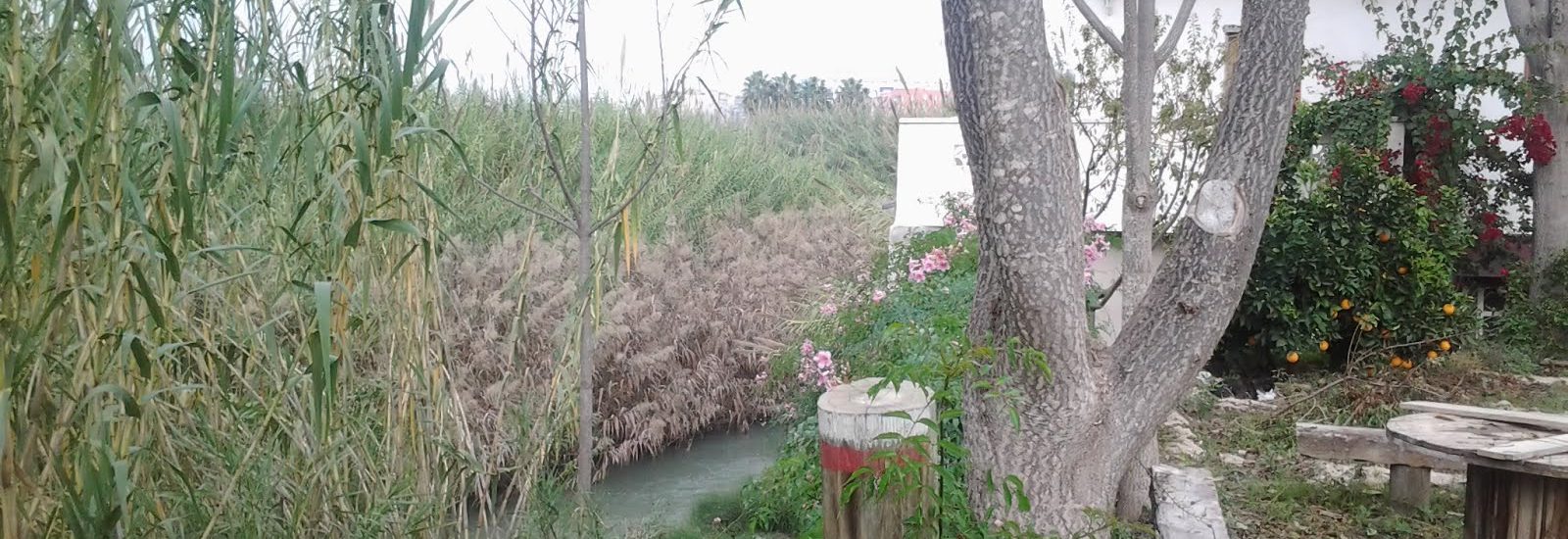 señal sobre el camino en molina de segura