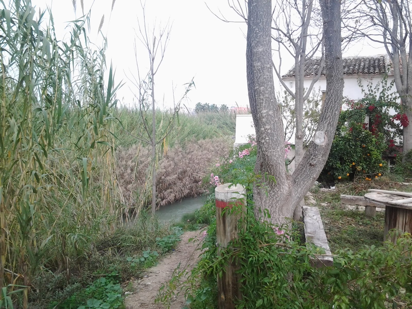 señal sobre el camino en molina de segura