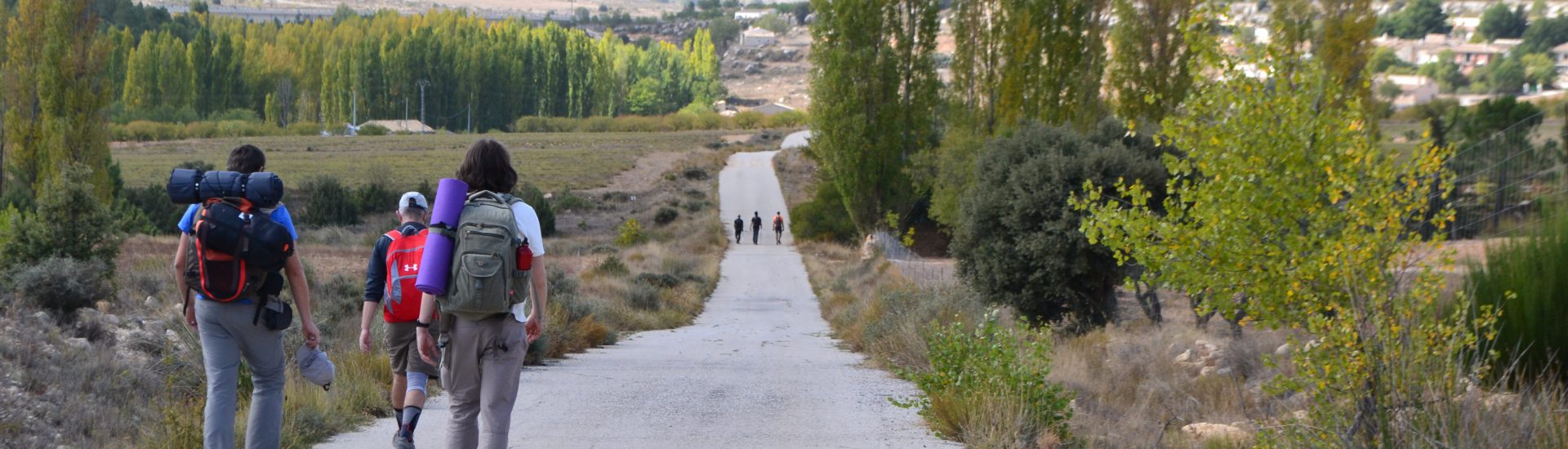 Dos grupos de senderistas camino de El Sabinar GR 7