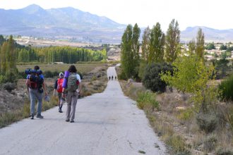 Dos grupos de senderistas camino de El Sabinar GR 7