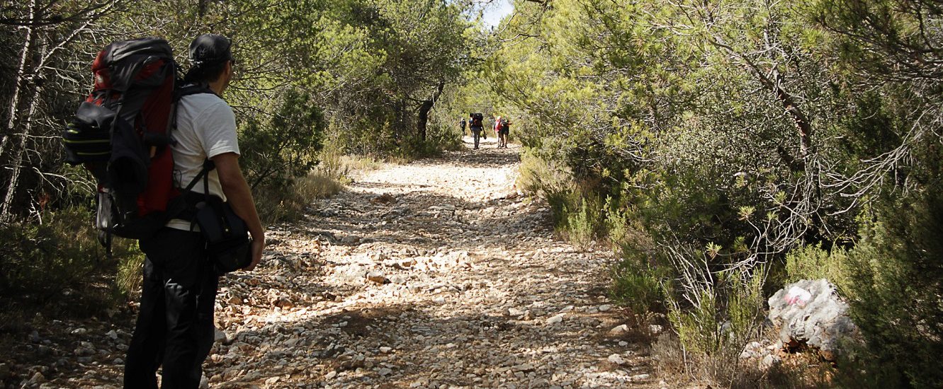 Grupo de senderistas por pista forestal