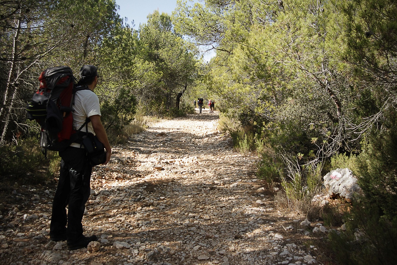 Grupo de senderistas por pista forestal