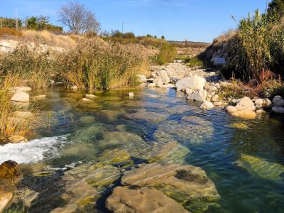 Llegando a Caravaca (río Quípar)